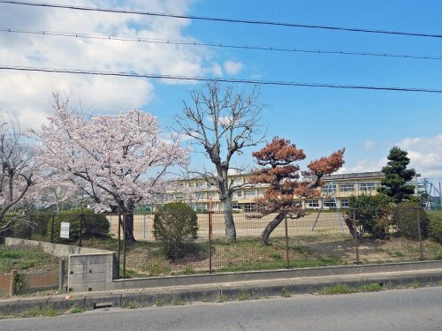 の画像