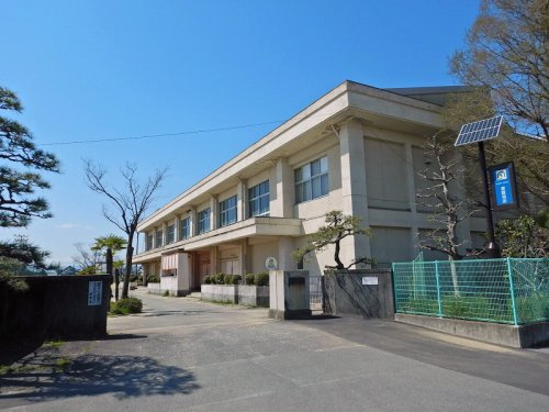 の画像