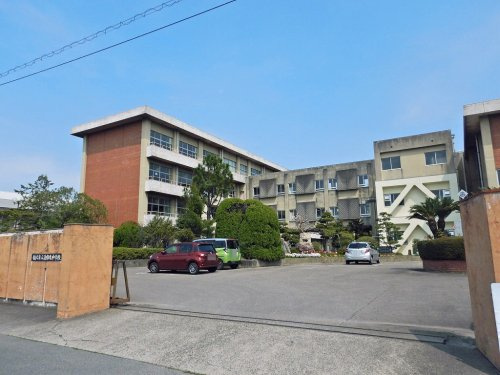 の画像