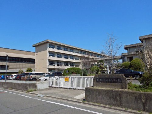 の画像
