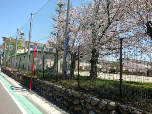 稲沢市立三宅小学校の画像