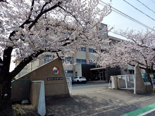 稲沢市立大塚小学校の画像