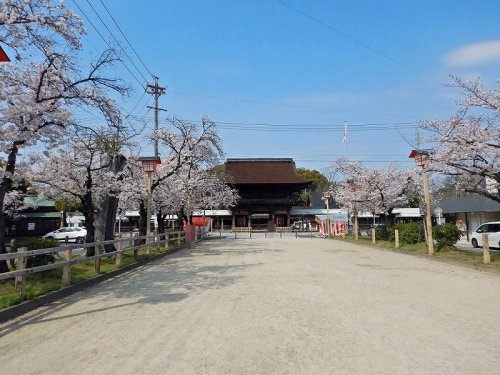 国府宮神社の画像