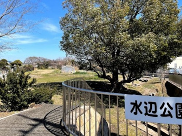 水辺公園の画像1