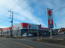 ドラッグストア セキ 鳩山店
