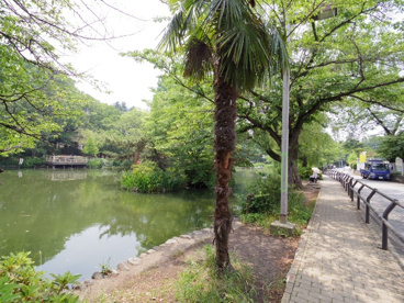 東京都立石神井公園の画像1