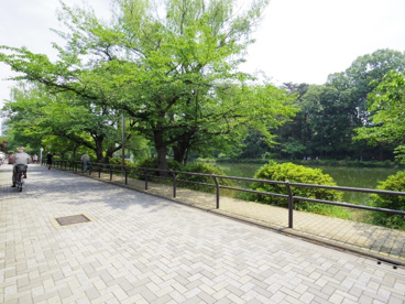東京都立石神井公園の画像2