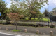 中原ふれあい防災公園の画像