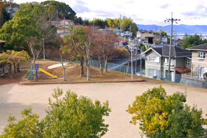 折居台第三児童公園の画像1