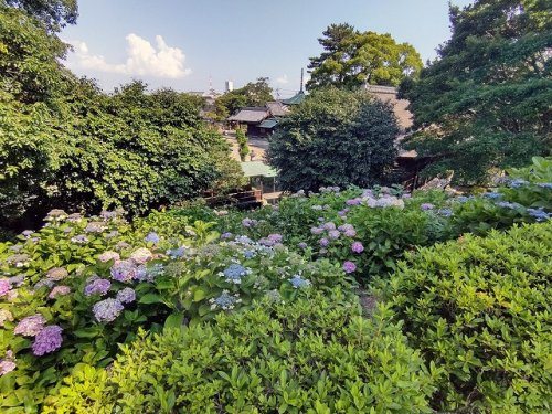 大塚性海寺歴史公園の画像