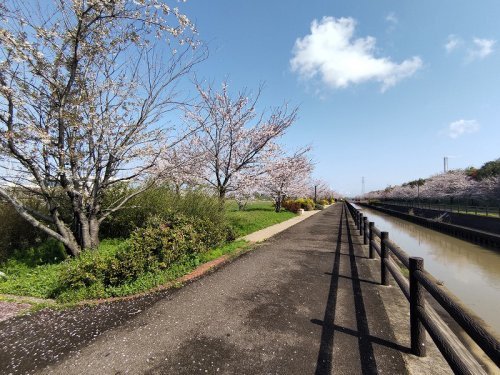 の画像