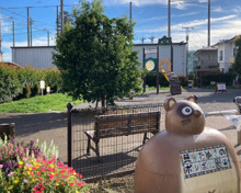 三宿たぬきのポンポ公園