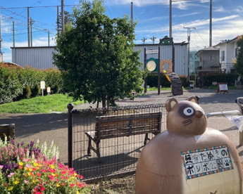 三宿たぬきのポンポ公園の画像1