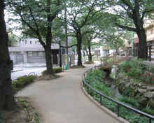 北沢川緑道