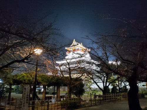 の画像