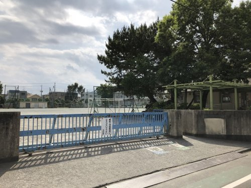 の画像