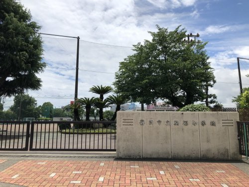 の画像