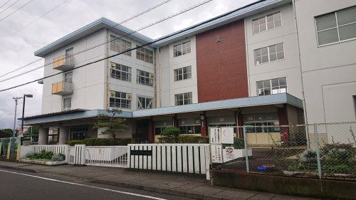 の画像
