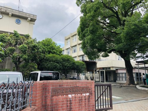 の画像