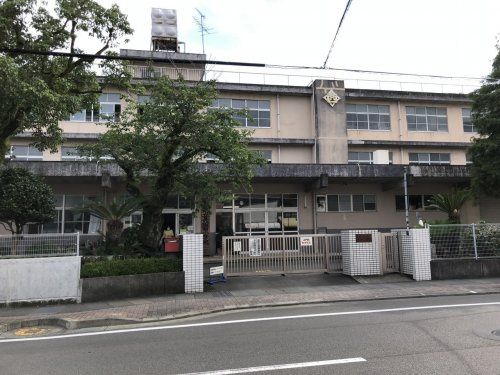 の画像