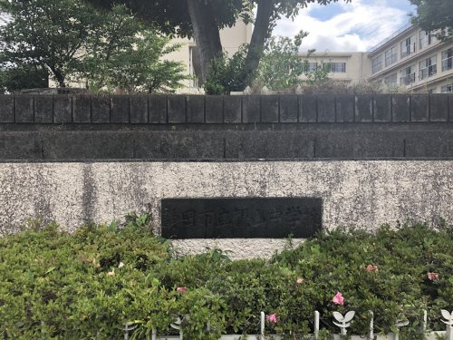 の画像