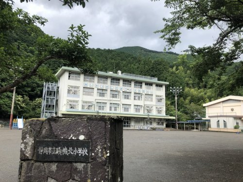 の画像