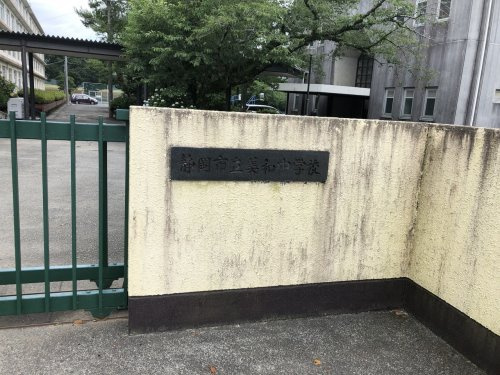 の画像