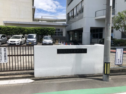 の画像