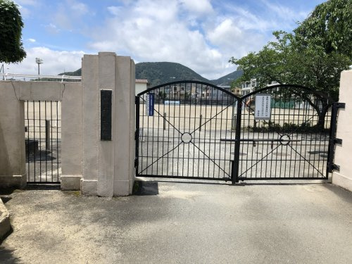 の画像