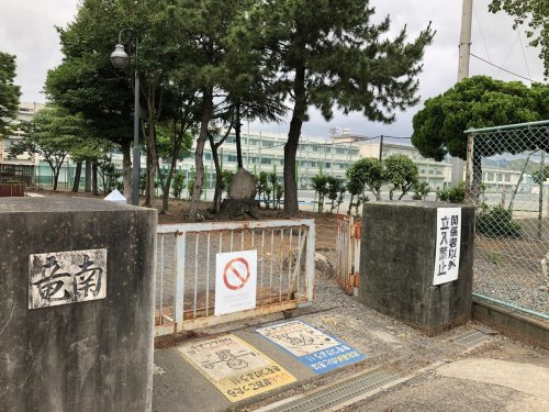 の画像