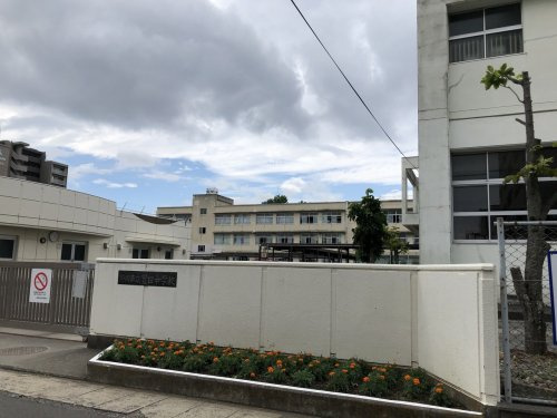 の画像