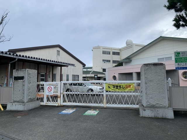 の画像