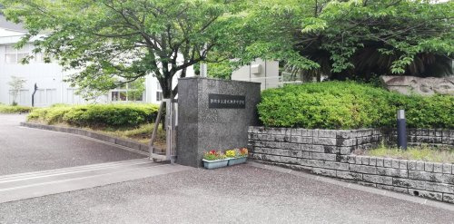 の画像