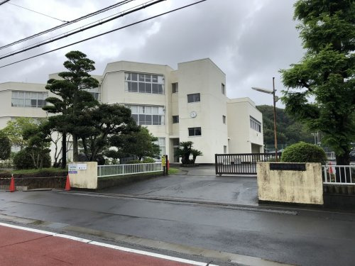 の画像