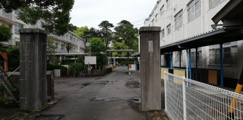 の画像