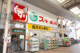 スギドラッグ 長居店