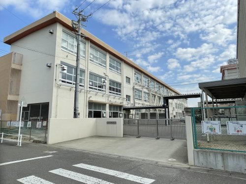 の画像