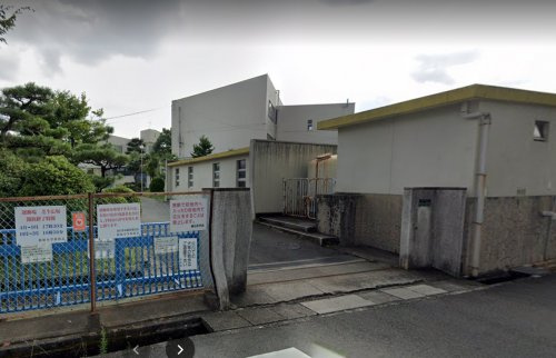 の画像