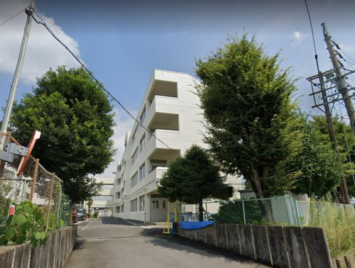 の画像