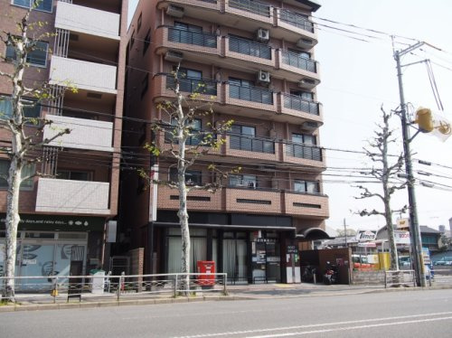 の画像