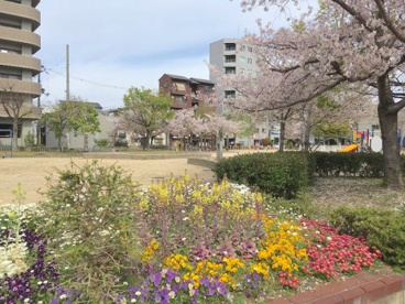 西皿池公園の画像1