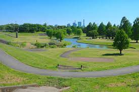 大宮第二公園の画像1