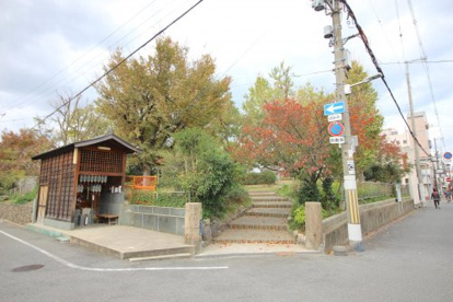 酒君塚公園の画像1