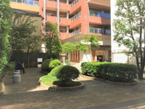 文京区立はつね広場