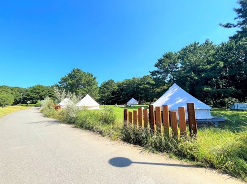 small planet CAMP＆GRILLの画像