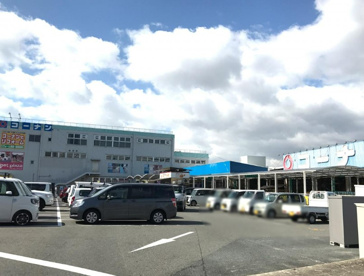 コーナン 金岡蔵前店の画像1