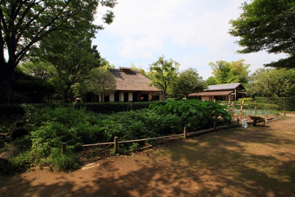 次大夫堀公園の画像1