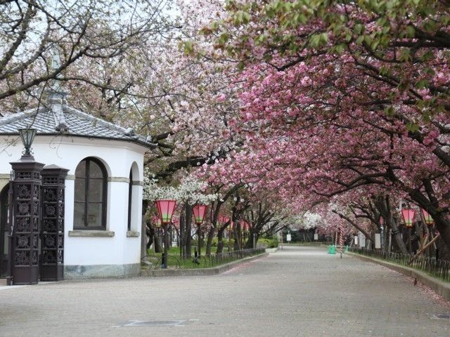 の画像