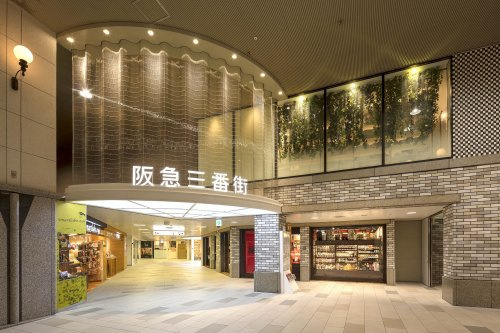 の画像