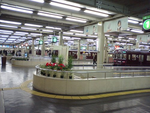の画像